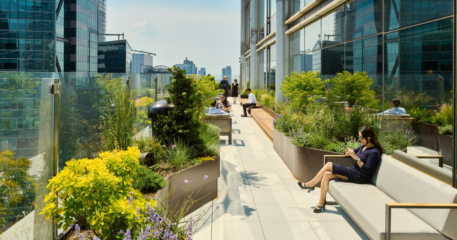 A rooftop garden terrace of an office building with benches, lush plantings, and a view of skyscrapers under a clear sky.