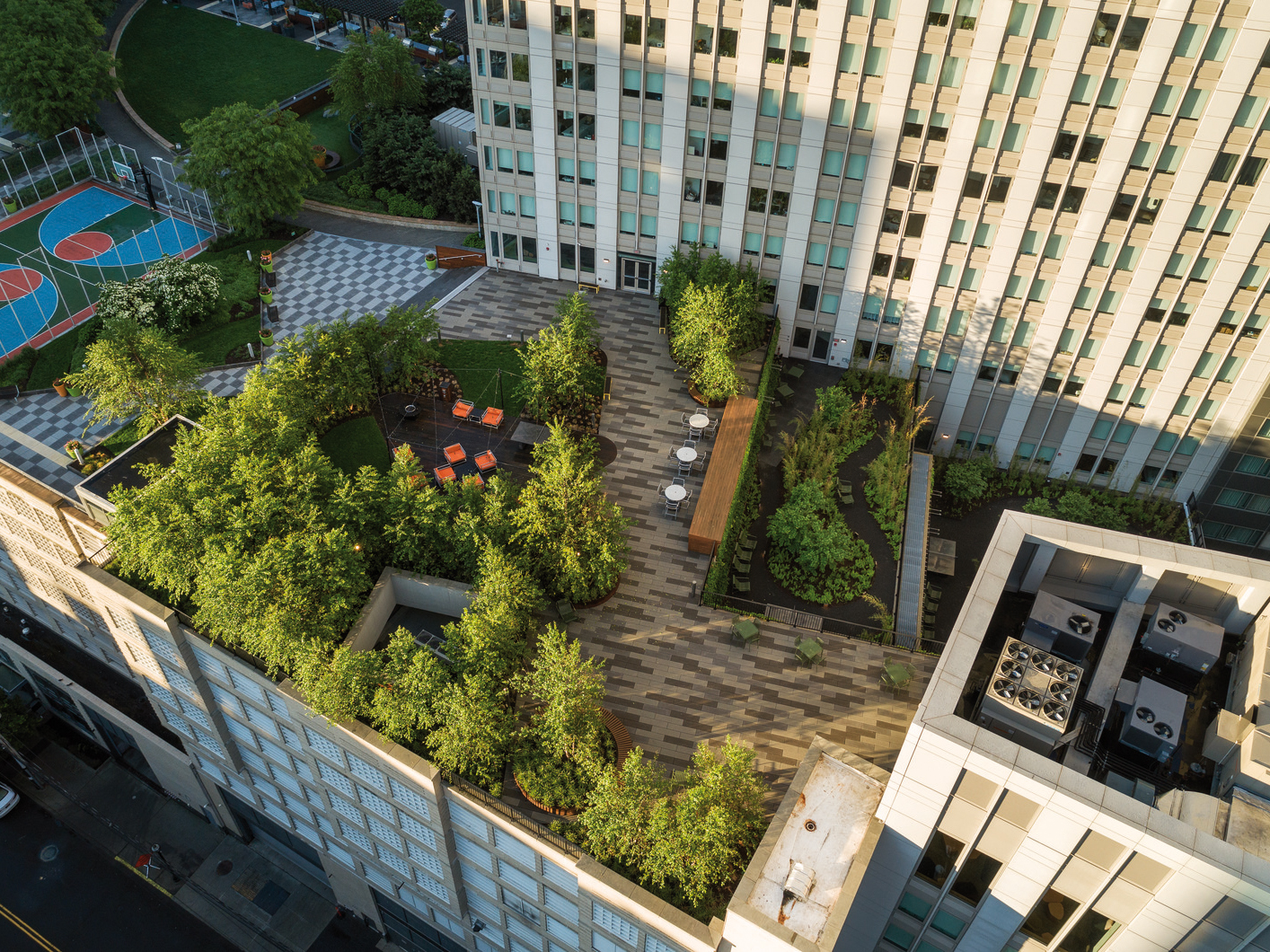 A modern rooftop garden nestled amidst towering urban buildings. The harmonious blend of architecture and green spaces creates an innovative and sustainable oasis.