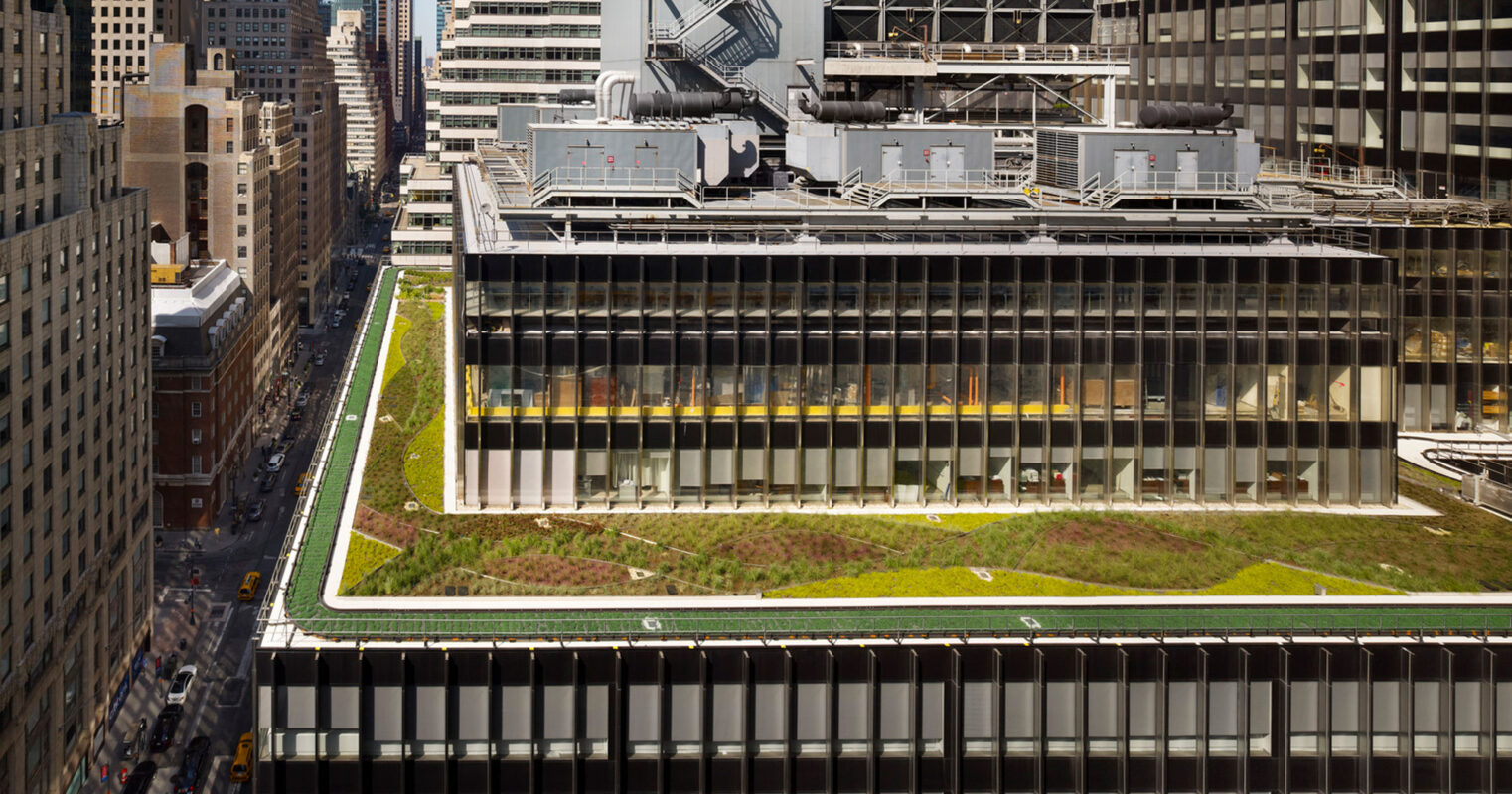 Green rooftop garden on an urban building, integrating sustainable design with a mix of grasses and walkways among modern architecture, offering contrast to the adjacent traditional skyscrapers.