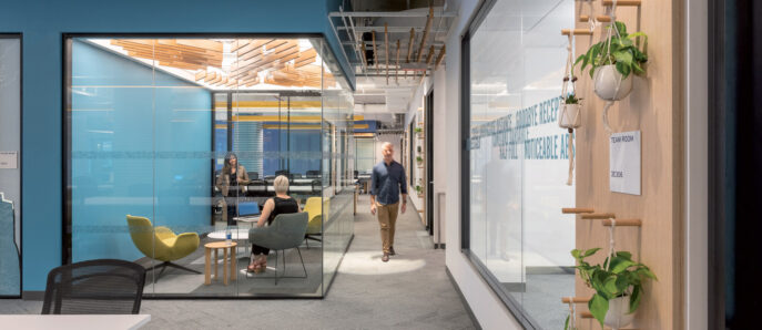 Modern open-plan office space featuring natural wood accents, hanging greenery, and glass partitions fostering transparency and collaboration, complemented by pops of blue and yellow in the seating areas.