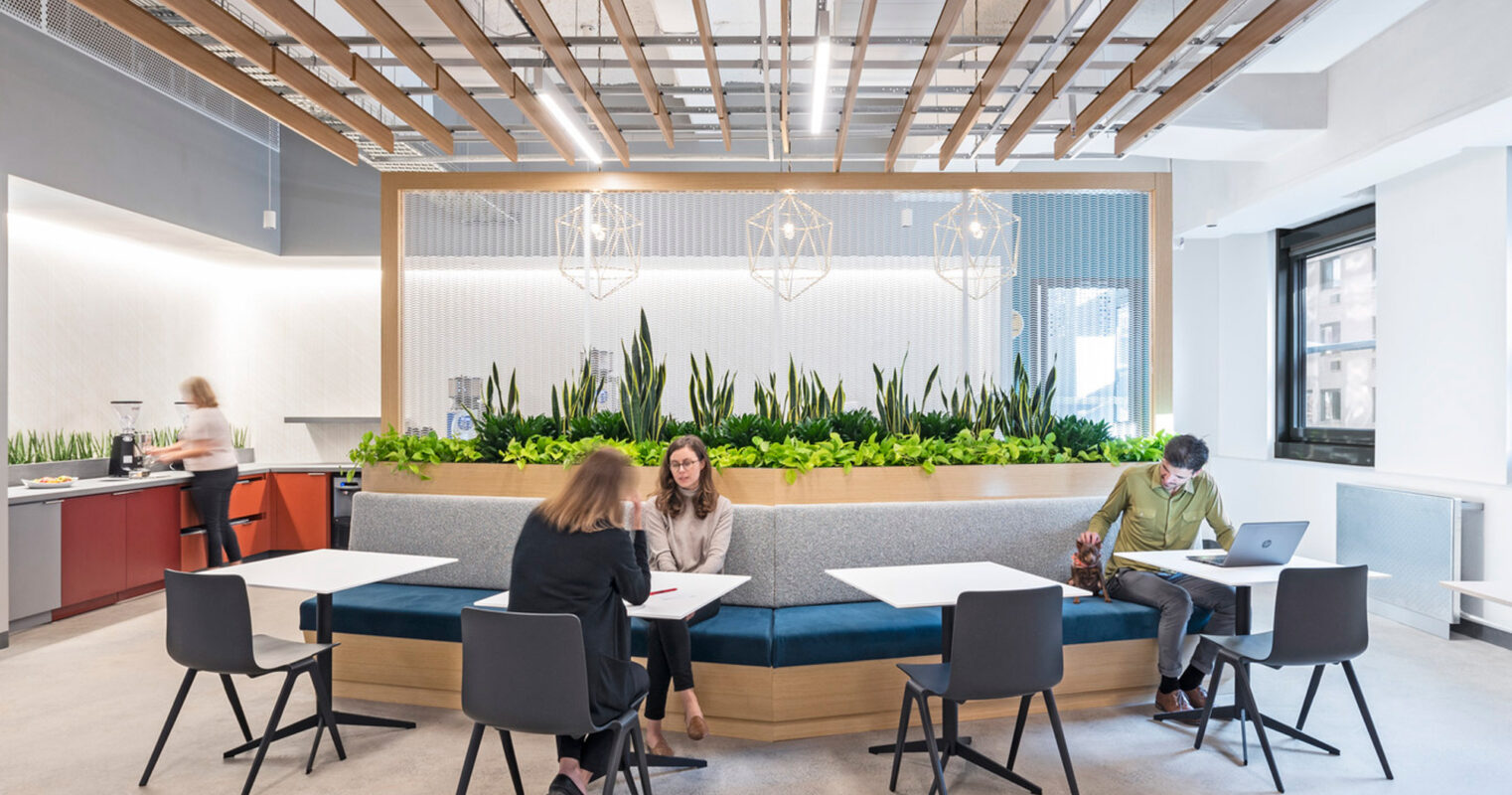 Modern office break room with warm wooden accents, geometric pendant lighting, and a vibrant green plant wall. Individuals collaborate and work independently, complemented by sleek black seating and a striking exposed ceiling.