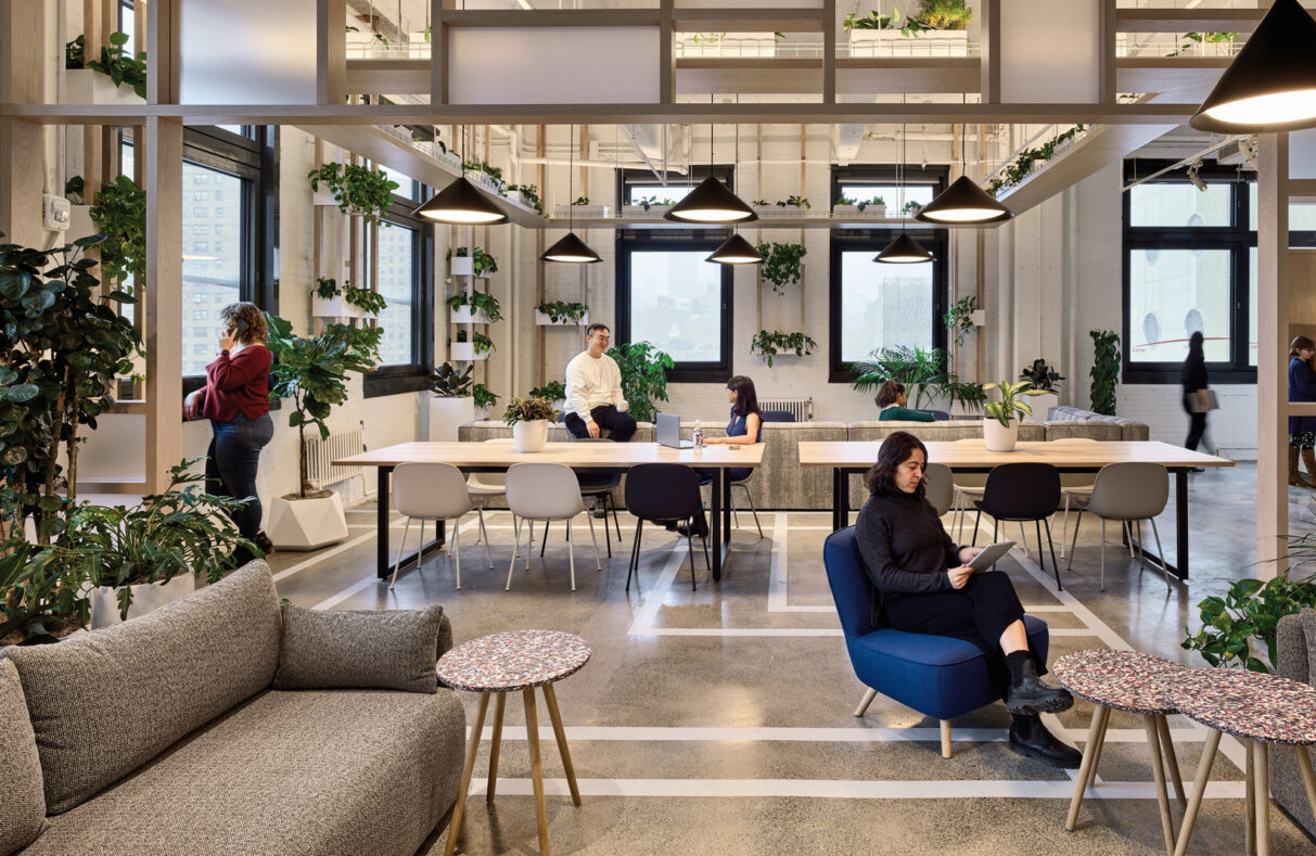 Interior, open plan office space with lots of lush green plants