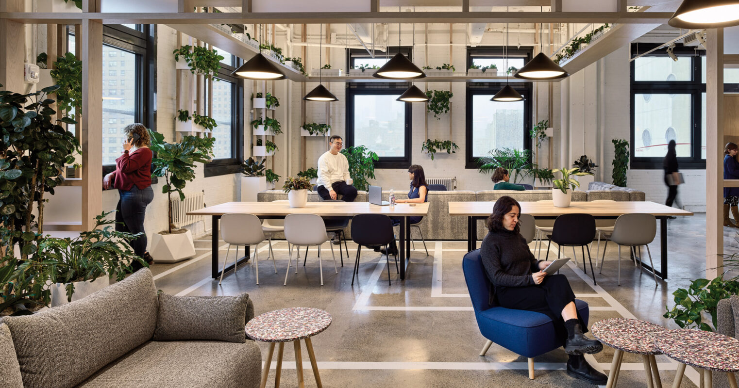 Interior, open plan office space with lots of lush green plants