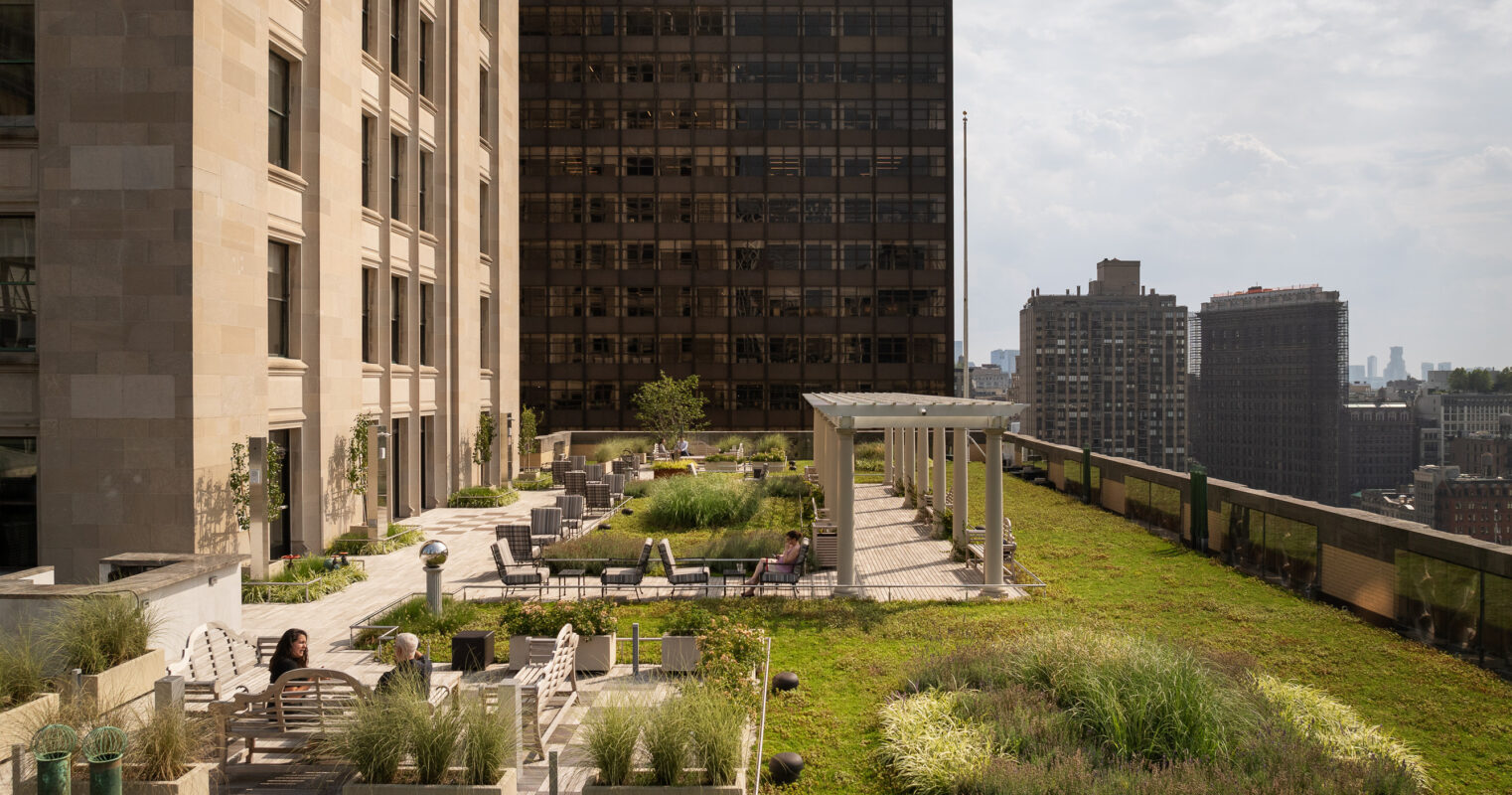A lush rooftop garden featuring a combination of greenery and lounge areas. The design incorporates various seating options, including modern chairs and benches, surrounded by thriving plants. The skyline of a bustling city serves as a backdrop, highlighting the perfect blend of urban living and natural relaxation.