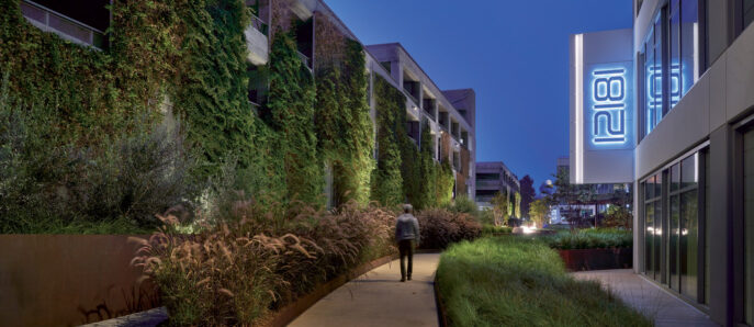 Twilight view of a modern building's exterior walkway lined with lush vertical gardens and ornamental grasses, emphasizing sustainable design and urban greenery integration.