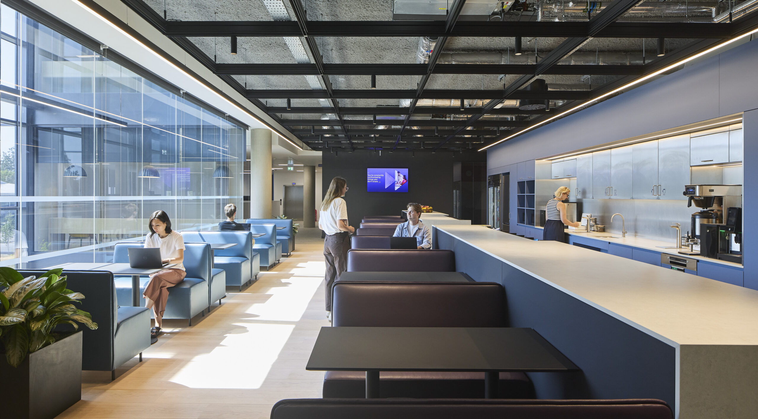 Contemporary workplace café with blue upholstered booths along a sunlit glass façade, dark burgundy banquette seating, and a long blue-and-white kitchenette island. Exposed services and a black ceiling grid create an industrial contrast, while integrated linear lighting, indoor planting, and flexible seating support work and social interaction.