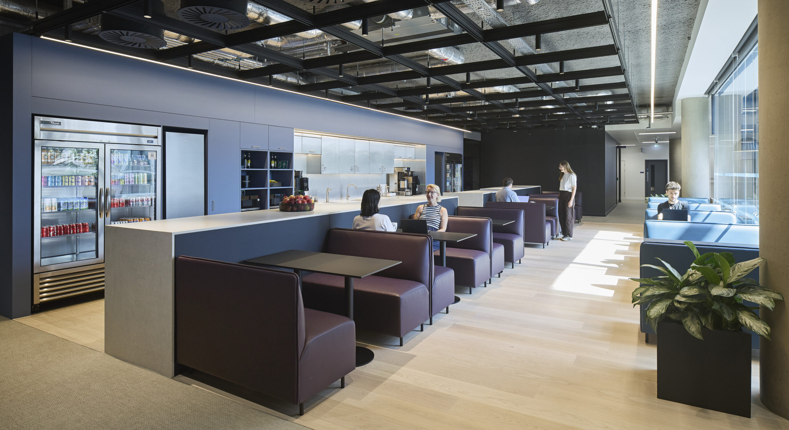 Flexible workplace café viewed from the opposite side, featuring burgundy booth seating, blue lounge chairs, and a long kitchenette with refrigerators, open shelving, coffee equipment, and a generous counter. Full-height glazing, pale timber flooring, exposed mechanical services, and abundant daylight create a welcoming collaborative environment.