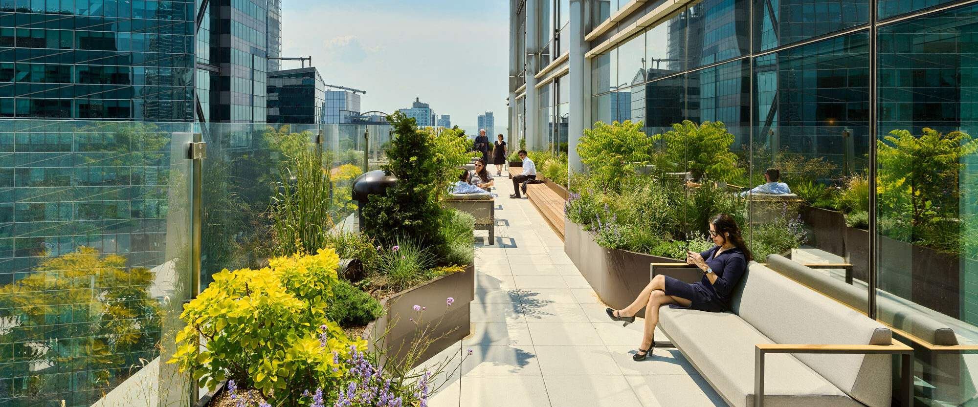 A rooftop garden terrace of an office building with benches, lush plantings, and a view of skyscrapers under a clear sky.