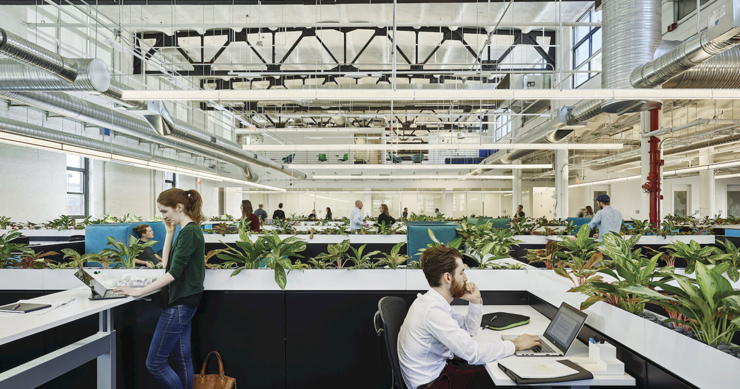 Open-plan office space with industrial aesthetic, featuring exposed ceiling pipes, abundant natural light, and a green plant divider creating a biophilic environment. Employees work at communal benches, enhancing interaction and collaboration.