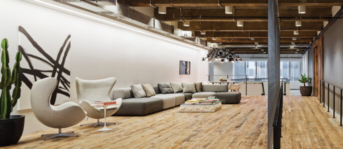 Spacious modern office with polished wooden floors, featuring a mix of classic and contemporary furniture and a striking cactus.