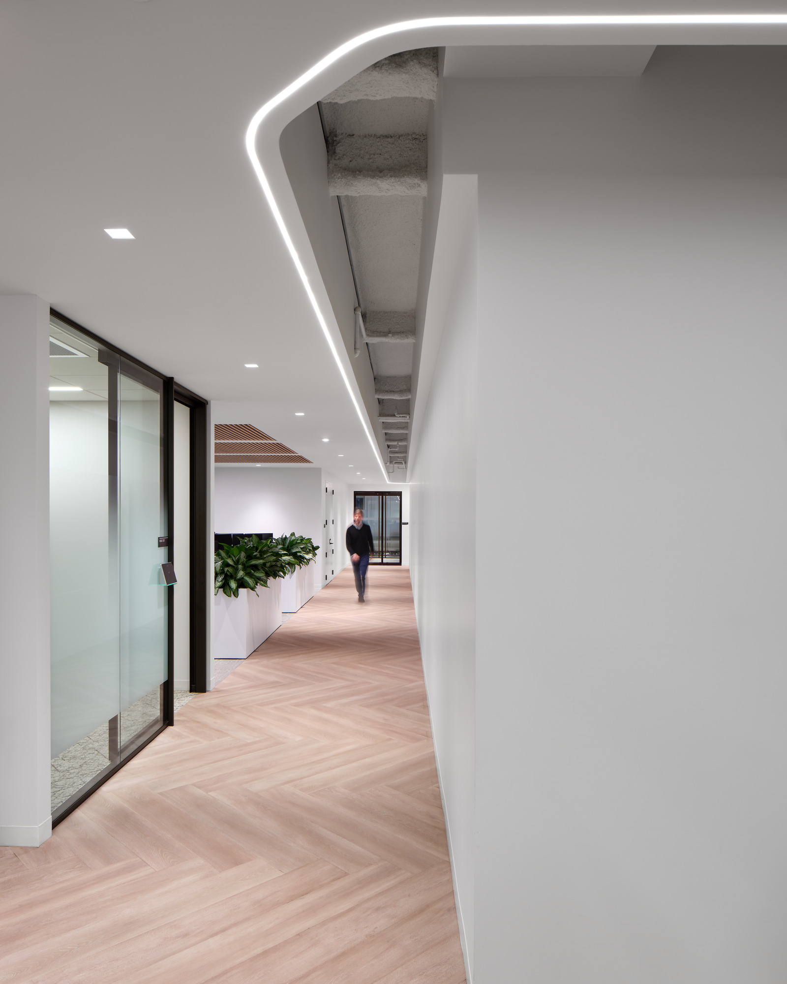 Sleek corridor featuring modern architectural lines and warm wood herringbone flooring. The space is illuminated by recessed LED lighting and complemented by lush greenery in white planters. Glass partitions create an open feel, enhancing the contemporary atmosphere of the office environment.