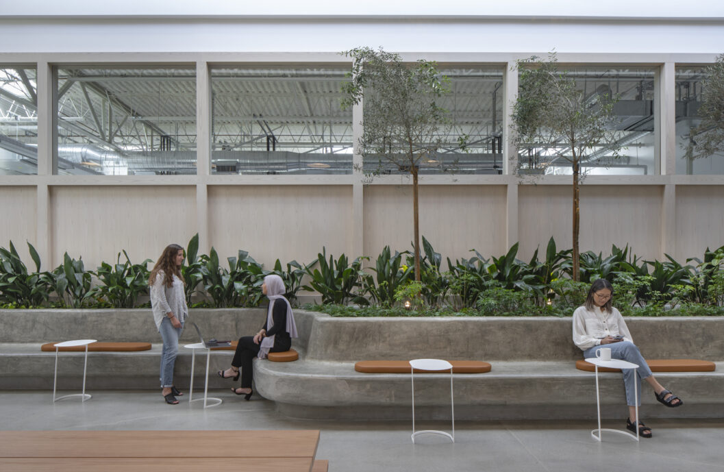 Biophilic workplace interior featuring integrated planter beds, indoor trees, sculptural concrete seating, and collaborative gathering areas within a modern office design focused on wellness and sustainability.